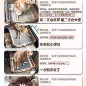 狗厕所大型犬中型防踩屎尿盆便便器拉屎便盆大号金毛狗狗宠物用品