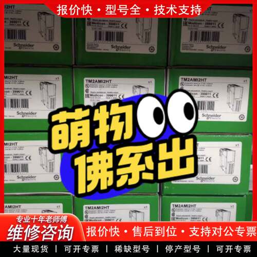 议价模块 TM2AMI2HT/TM2AVO2HT 7KM93