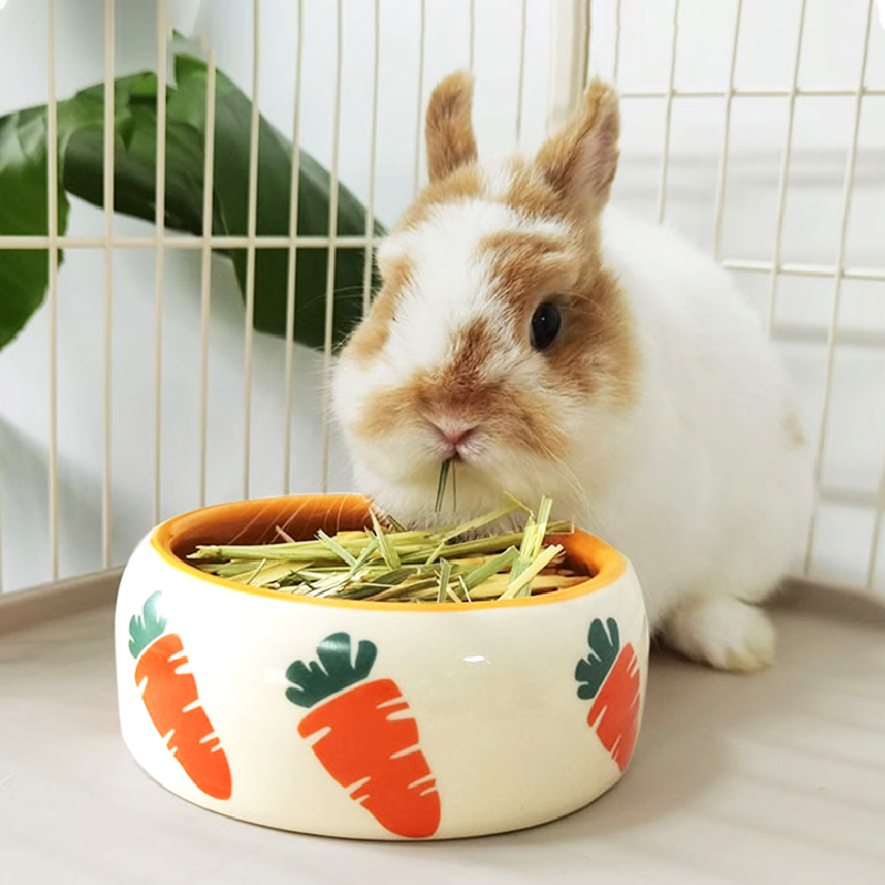 宠物胡萝卜兔子喂食器食盒陶瓷食盆水碗龙猫豚鼠荷兰猪兔兔干草架