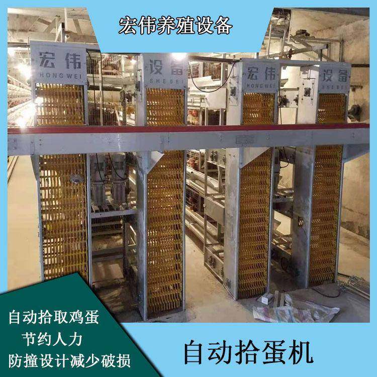 蛋鸡笼养自动化机械可升降捡蛋设备低破损率鸡场用拾蛋器