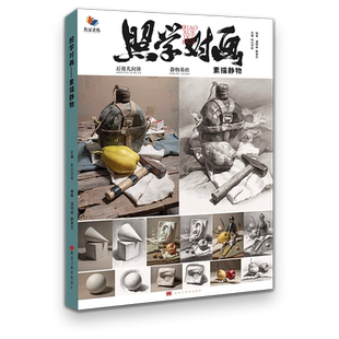照学对画素描静物 2023烈公文化潘明森赖荣志单体组合石膏几何体素描静物照片写生素材美术高考联考教材教程素描照片书籍