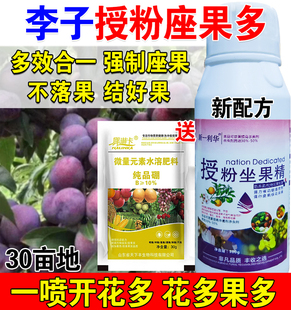 李子授粉药李子授粉座果精专用授粉花果素防落素保花保果素沾花素