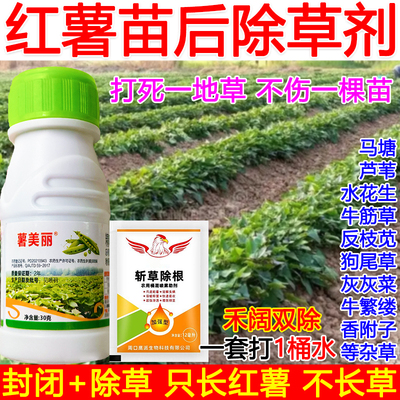 红薯苗后除草剂红薯专用除草剂禾阔双除杂草烂根四狗尾草马塘