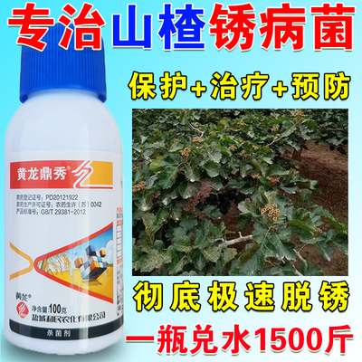 山楂锈病专用药山楂锈病杀菌剂山楂锈病山楂专用杀菌锈病专用药