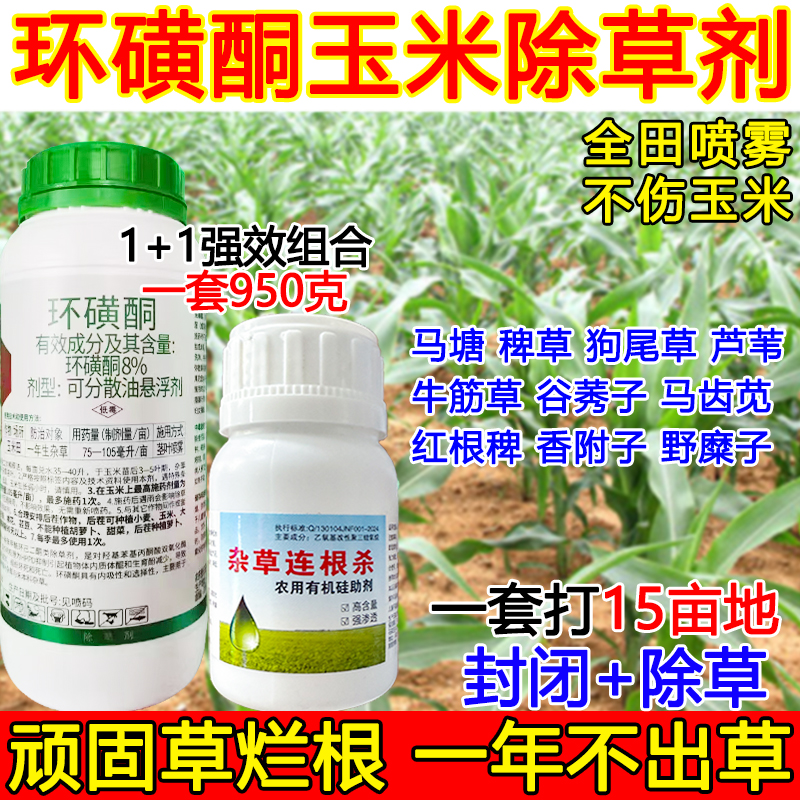 玉米除草剂环磺酮玉米芦苇除草剂不伤玉米苗狗尾草芦苇稗草牛筋草