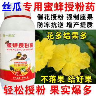 进口丝瓜授粉药授粉精丝瓜专用授粉坐果精催花授粉保花保果免沾花
