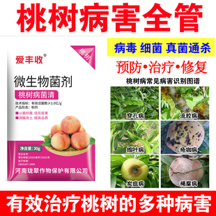 桃病清桃树流胶病穿孔病杀菌剂微生物肥料缩叶病褐腐病桃树病全治