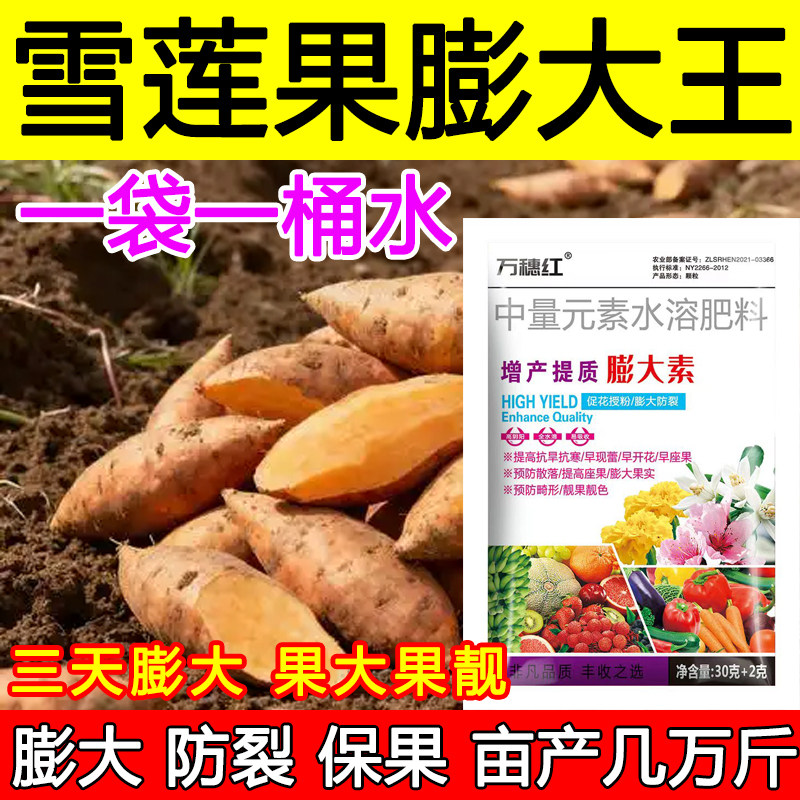 雪莲果膨大素膨果增产肥料雪莲果膨大剂肥料保花保果膨大防落正品,农用物资,叶面肥,淘宝优惠券,粉丝福利购,淘宝优惠卷