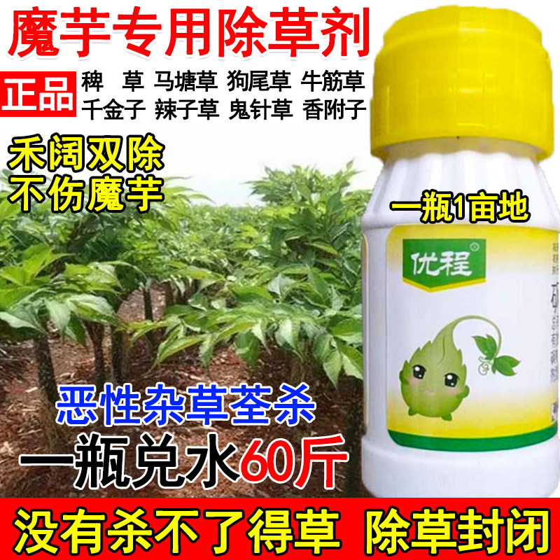 魔芋田除草剂魔芋灭草药禾阔双除不伤魔芋荠菜婆婆纳鬼针草辣子草
