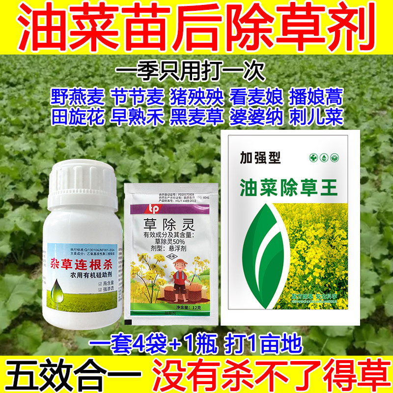 油菜田专用除草剂油菜除草剂通用型禾阔双除油菜田杂草死草死根,农用物资,除草剂,淘宝优惠券,粉丝福利购,淘宝优惠卷