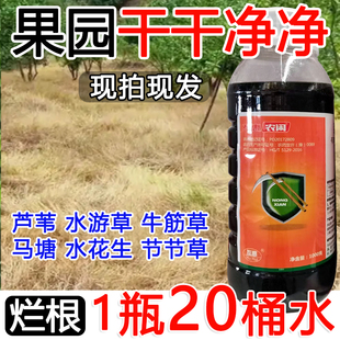 果园荒地除草剂果园专用除草剂牛筋草小飞蓬除草剂死草死根不伤树