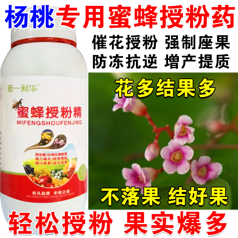 进口杨桃授粉药授粉精杨桃专用授粉坐果精催花授粉保花保果免沾花