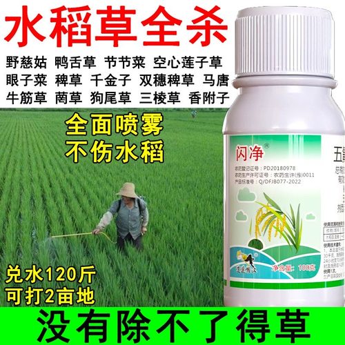 水稻田专用除草剂水稻除草药禾阔双除稗草千金子野慈姑水稻除草剂