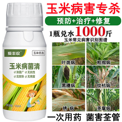 玉米专用杀菌剂玉米病菌清病全治大小叶斑病锈病粗缩病特效杀菌剂