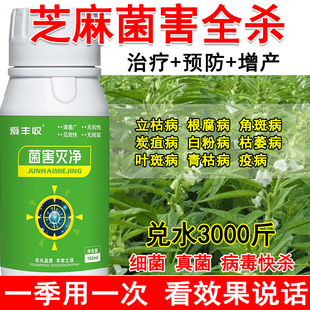 芝麻专用杀菌剂芝麻病全治杀菌药生物肥料全杀立枯病根腐病角斑病