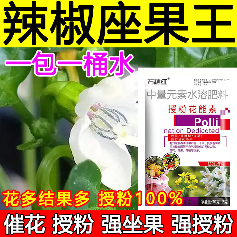 辣椒授粉座果精辣椒授粉药沾花素保花保果强制座果肥料防落果正品