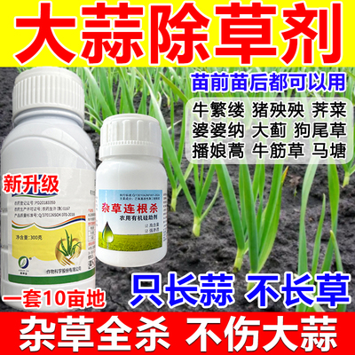 大蒜除草剂大蒜苗前苗后除草剂封闭药吡氟酰草胺全杀牛繁缕狗尾草