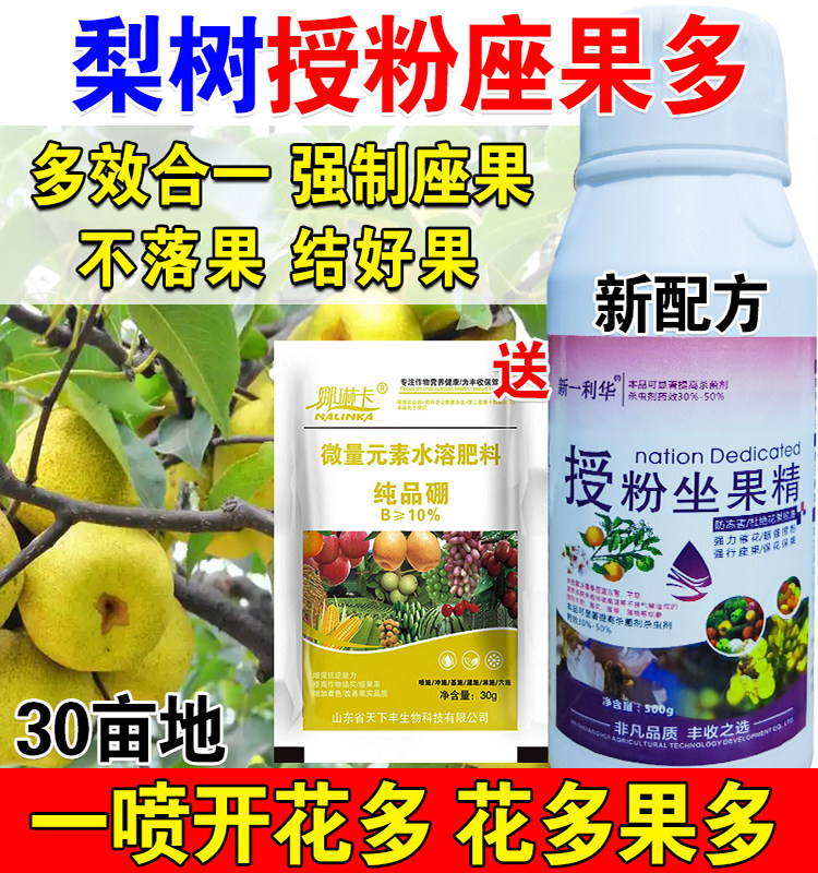 梨树授粉药梨树授粉座果精专用授粉花果素防落素保花保果素沾花素