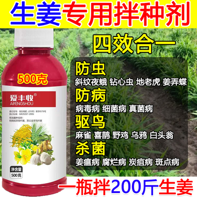 生姜拌种剂包衣剂生姜专用拌种药微生物菌剂抗病菌生姜悬浮种衣剂