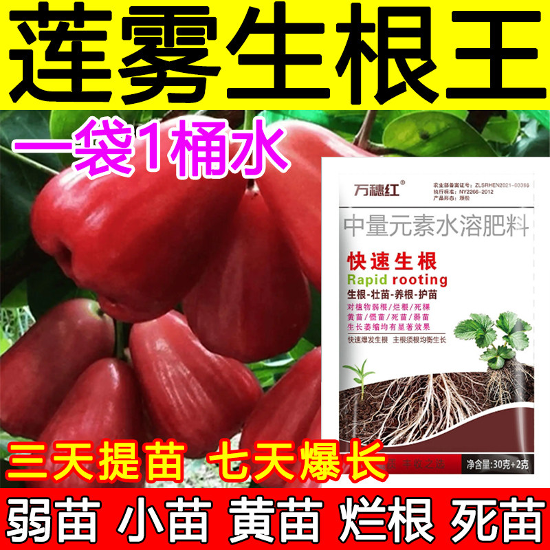 莲雾生根剂生根液莲雾生根壮苗肥料微生物生根肥料弱苗小苗正品,农用物资,叶面肥,淘宝优惠券,粉丝福利购,淘宝优惠卷