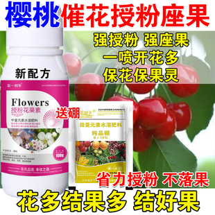 进口樱桃授粉座果精樱桃授粉药叶面肥沾花素防落素保花保果防落药