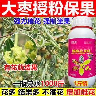 枣树授粉药枣树授粉坐果精座果灵保花保果沾花素果树樱桃柑橘授粉