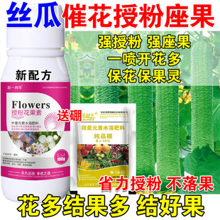 进口丝瓜授粉座果精丝瓜授粉药叶面肥沾花素防落素保花保果防落药