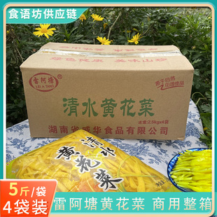 5斤 4袋 商用雷阿塘清水黄花菜新鲜凉拌菜盐水金针菜火锅串串食材