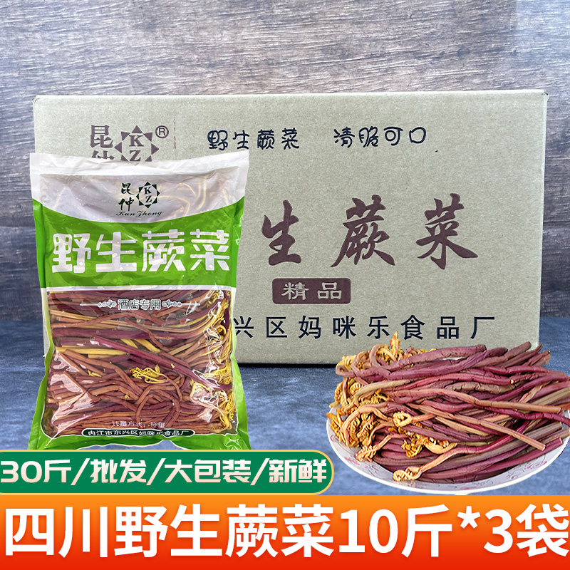 整箱30斤四川蕨菜新鲜野生蕨菜