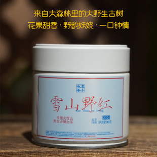 易小冰2025雪山野红 野生古树红茶大雪山野生古树 野韵妖娆 晒红