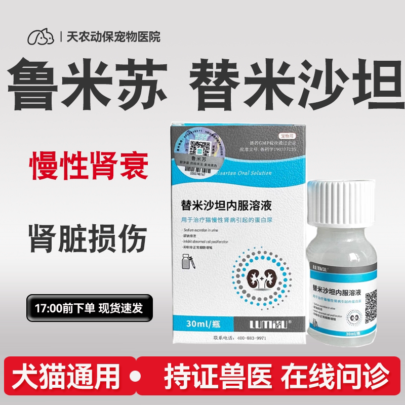 猫替米沙坦慢性肾病尿蛋白圣咪乐