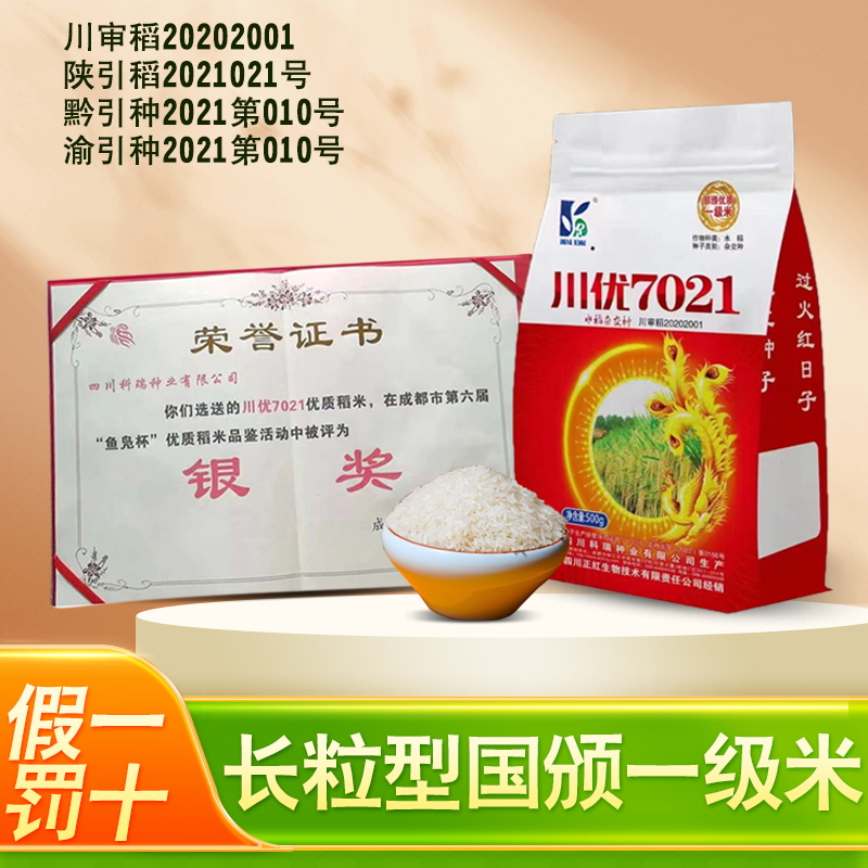 杂交水稻种子川优7021抗性好