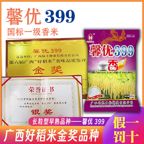 水稻种子水稻种子口感软糯