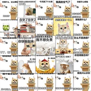饰手机壳电脑桌面防水贴画diy 59张抽象猫咪贴纸表情包创意趣味装