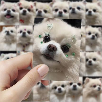 63张小狗妆容贴纸可爱小动物装饰手机壳笔记本电脑桌面防水贴画