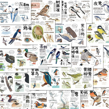 36张鸟类图鉴贴纸手绘鸟类图鉴装饰手机壳笔记本电脑防水贴画diy