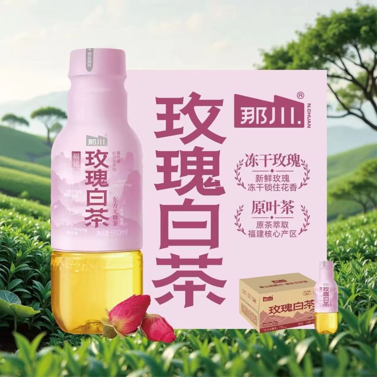 那川茶饮金桂白茶玫瑰白茶高山白茶茉莉白茶原装500ml*3瓶6瓶15瓶