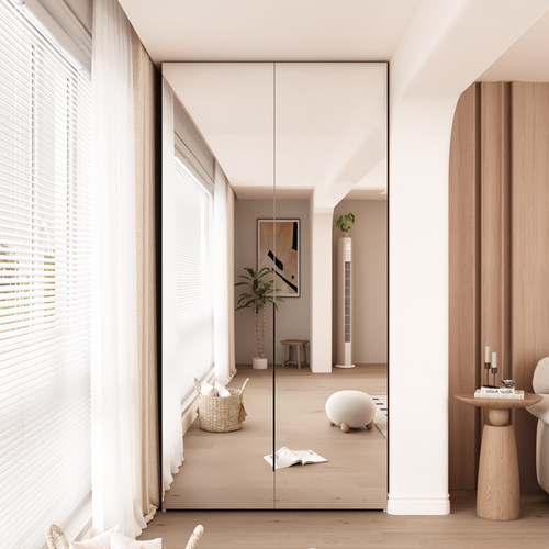 懒人收纳阳台柜定制带镜子大容量