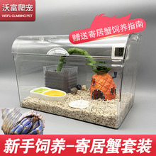 沃富寄居蟹饲养箱亚克力新手宠物蟹全套用品套装盒桌面宠物饲养缸