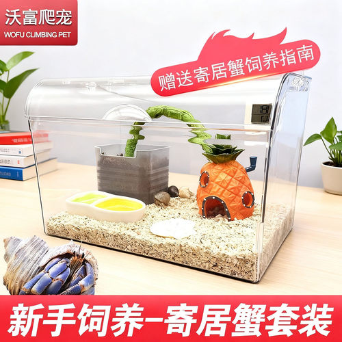 沃富寄居蟹亚克力全景新手饲养缸