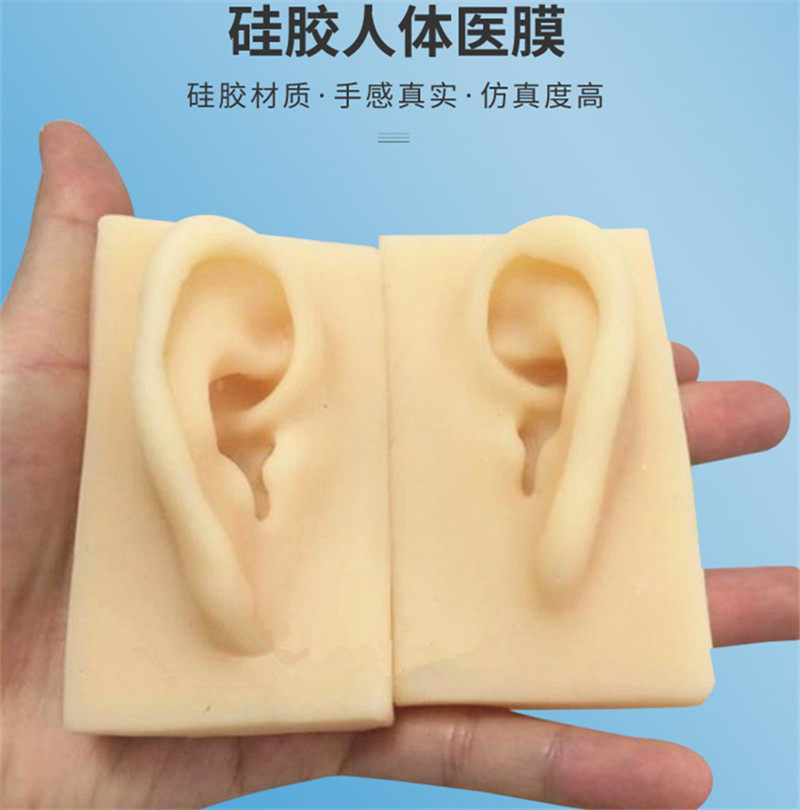 成人1：1 仿真耳朵 耳朵模型 耳朵 耳膜型 硅胶耳朵 仿真针灸耳朵