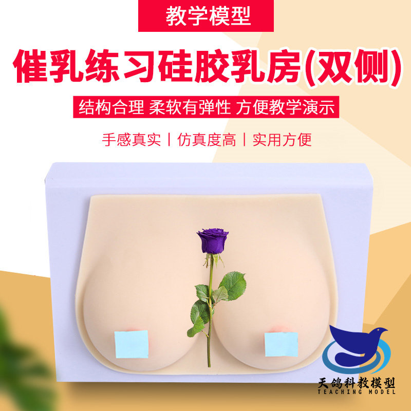 硅胶女性乳房模型带乳晕催乳师培训道具哺乳喂养练习教学教具模型
