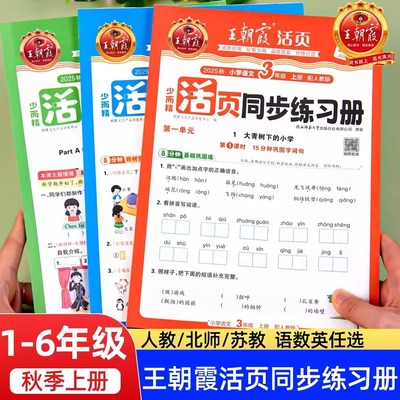 2025版王朝霞活页同步练习册