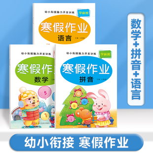 幼小衔接寒假作业幼儿园拼音数学语言教材全套幼升小学一年级入学准备大练习专项综合训练学前班中大班练习册测试卷练习题每日一练