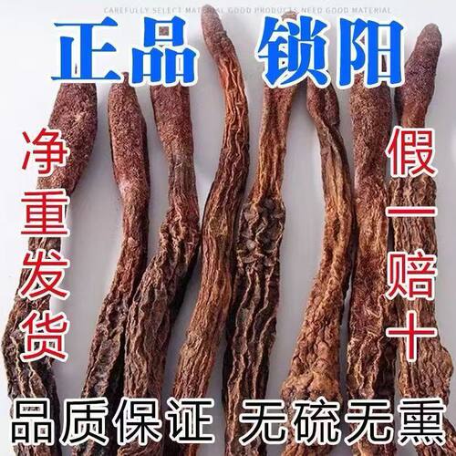 锁阳阿拉善金锁阳整根大根金锁阳切片金锁阳正品锁阳个买一送一