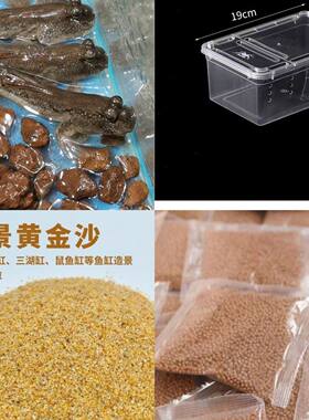 跳跳鱼滩涂鱼活体爬宠套装弹涂鱼海水淡水两栖观赏鱼水族宠物活体