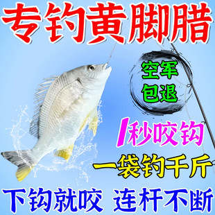 黄脚腊饵料黄鳍鲷专用海钓爆护神器秋冬季黄立鱼野河狂诱通杀鱼食
