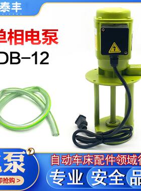 新款上海钱进DB-12机床磨床油泵单相220V单相电泵40W包邮