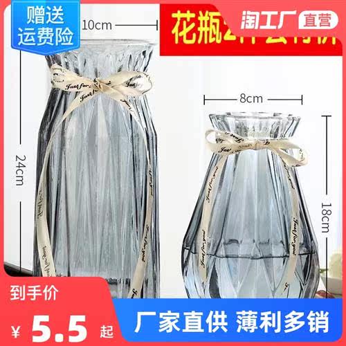 两件套创意玻璃花瓶水培绿植鲜花富贵竹干花插花瓶摆件客厅桌面怎么看?