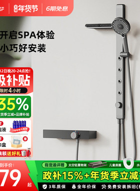EFEF F901花洒套装枪灰色浴室SPA腰喷肩喷多功能家用淋浴套装
